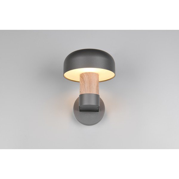 Zewnętrzna lampa ścienna (wysokość 24,5 cm) Fraser – Trio-image-4