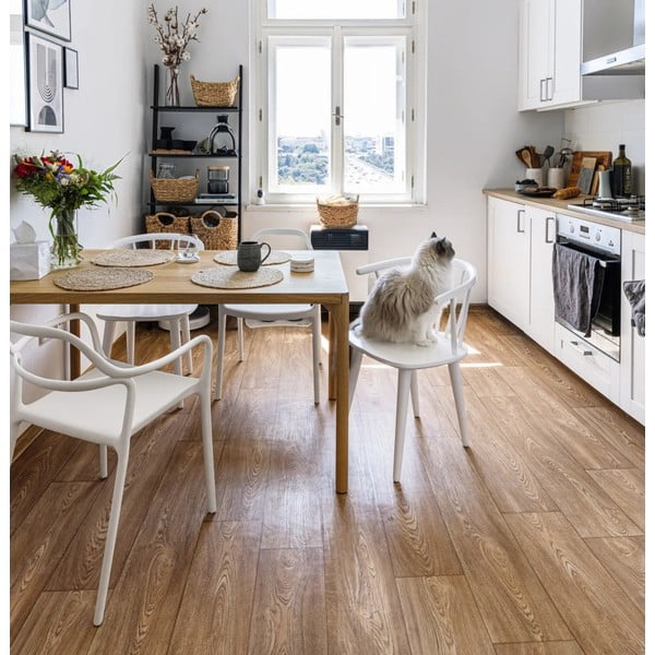 Zestaw 2 białych krzeseł Bonami Selection Dali Chaur-image-1