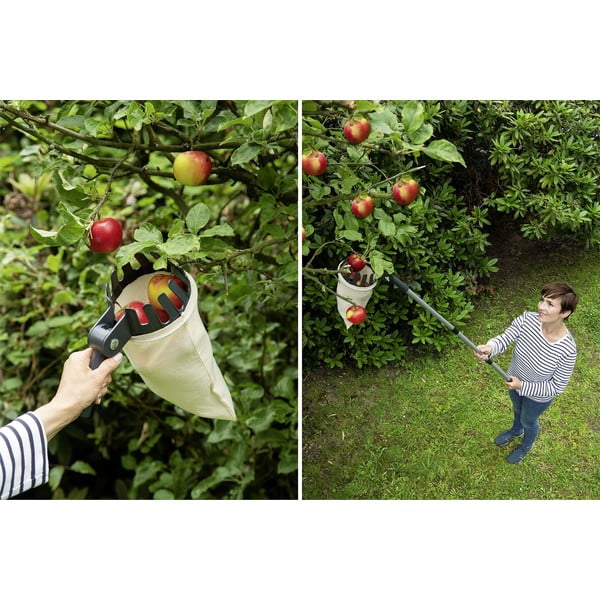 Teleskopowy zbieracz owoców – Maximex-image-1
