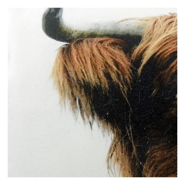 Poduszka Scottish Highlander 50x35 cm-image-1