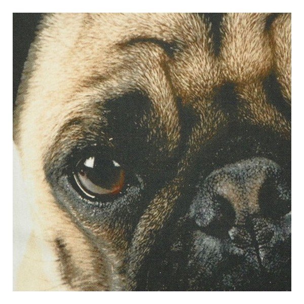 Poduszka Mars&More Pug, 50x50  cm-image-1