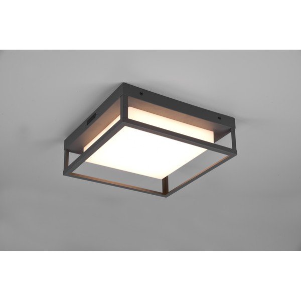 Kinkiet zewnętrzny LED (wys. 10 cm) Witham – Trio-image-2