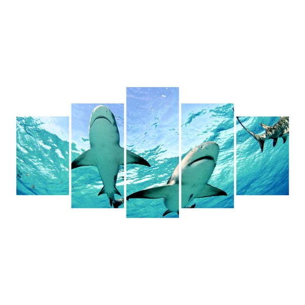 Wieloczęściowy obraz La Maison Des Couleurs Sharks