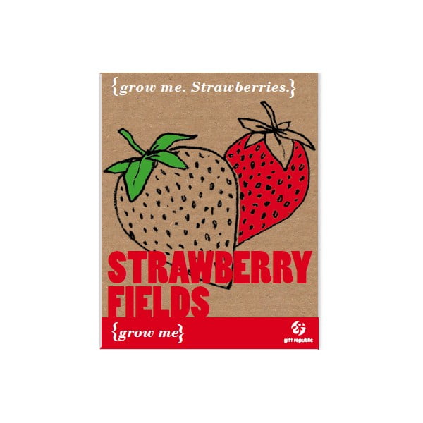 Zestaw do uprawy roślin z ziarnami truskawek Gift Republic Strawberry