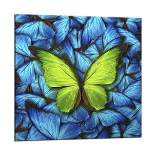 Obraz Styler Glasspik Blue Butterfly, 20x20 cm