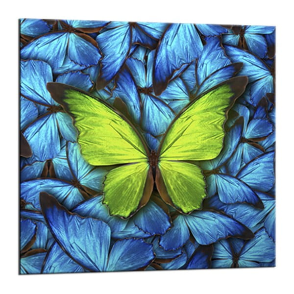 Obraz Styler Glasspik Blue Butterfly, 20x20 cm