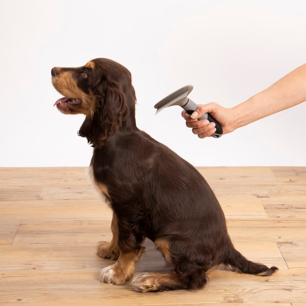 Szczotka dla zwierząt – Love Story-image-1