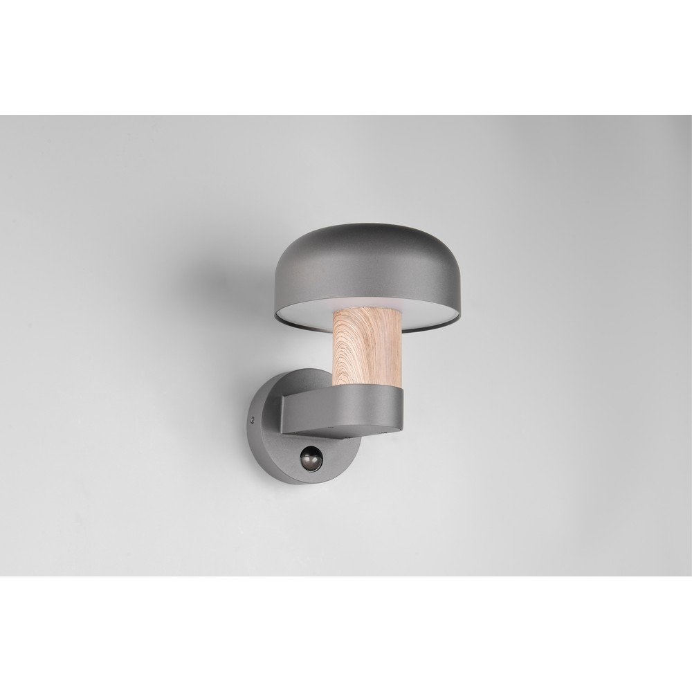 Zewnętrzna lampa ścienna (wysokość 24,5 cm) Fraser – Trio (zdjęcie 4)