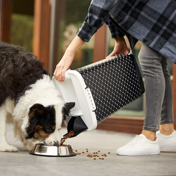 Czarny pojemnik na karmę 50 l Cody – Rotho-image-1