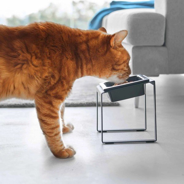 Miska ze stojakiem dla czworonoga ceramiczna Nooks – YAMAZAKI-image-1