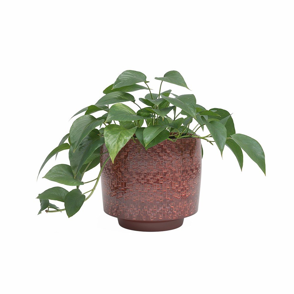 Ceramiczna ręcznie wykonana osłonka na doniczkę ø 21 cm Minerva – Artevasi