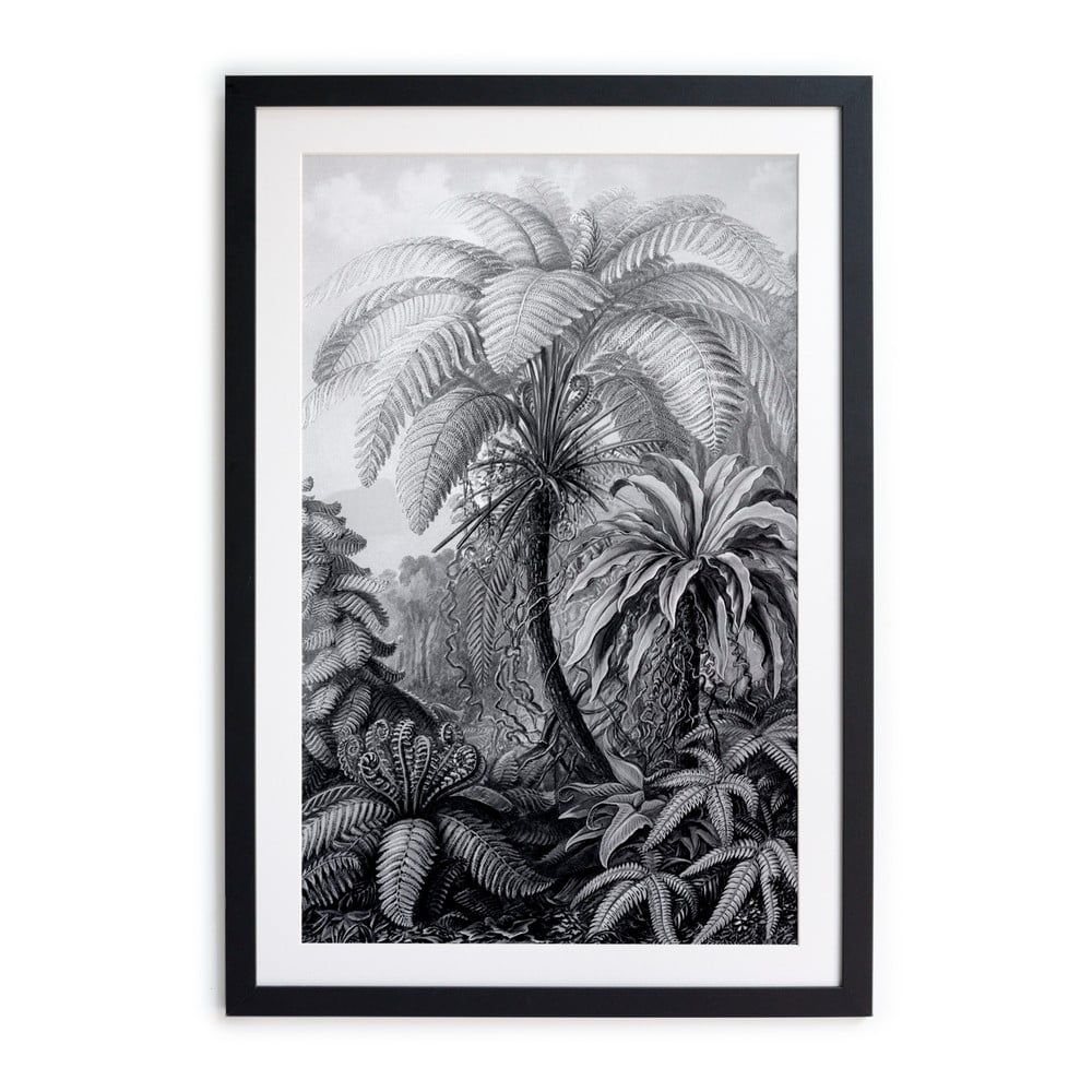 Czarno-biały plakat Surdic Palm, 60x40 cm
