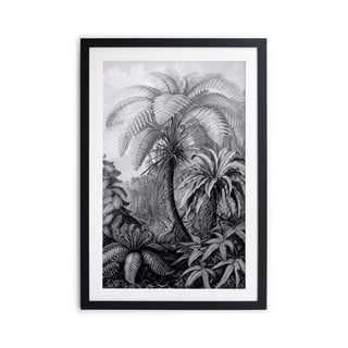 Czarno-biały plakat Surdic Palm, 60x40 cm