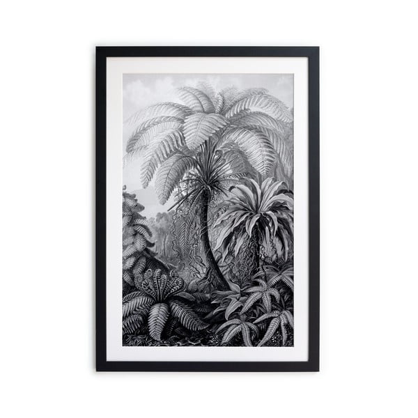 Czarno-biały plakat Surdic Palm, 60x40 cm