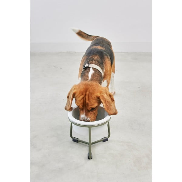 Porcelanowa miska ze stojakiem dla psów ø 20 cm Pranzo Grolive M – MiaCara-image-1