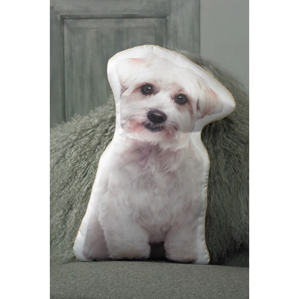 Poduszeczka Adorable Cushions Maltańczyk-image-1