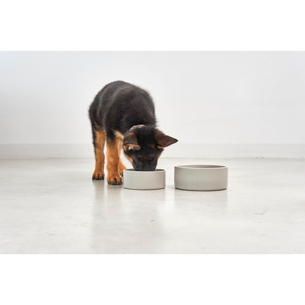 Porcelanowa miska dla psów ø 20 cm Scodella Greige M/L – MiaCara-image-1