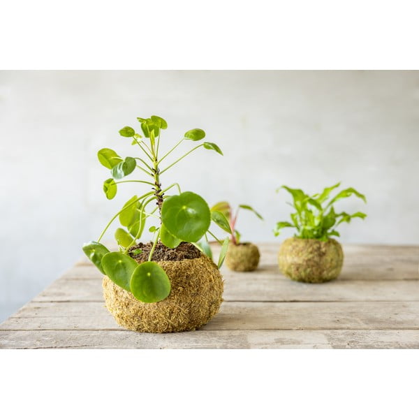 Doniczka ø 20 cm Kokedama – Esschert Design-image-1