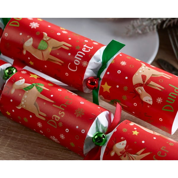 Crackery świąteczne zestaw 6 szt. Rudolph & Friends – Robin Reed-image-2