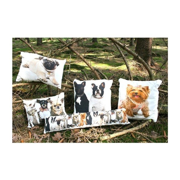 Poduszka Chihuahuas 35x50 cm-image-2