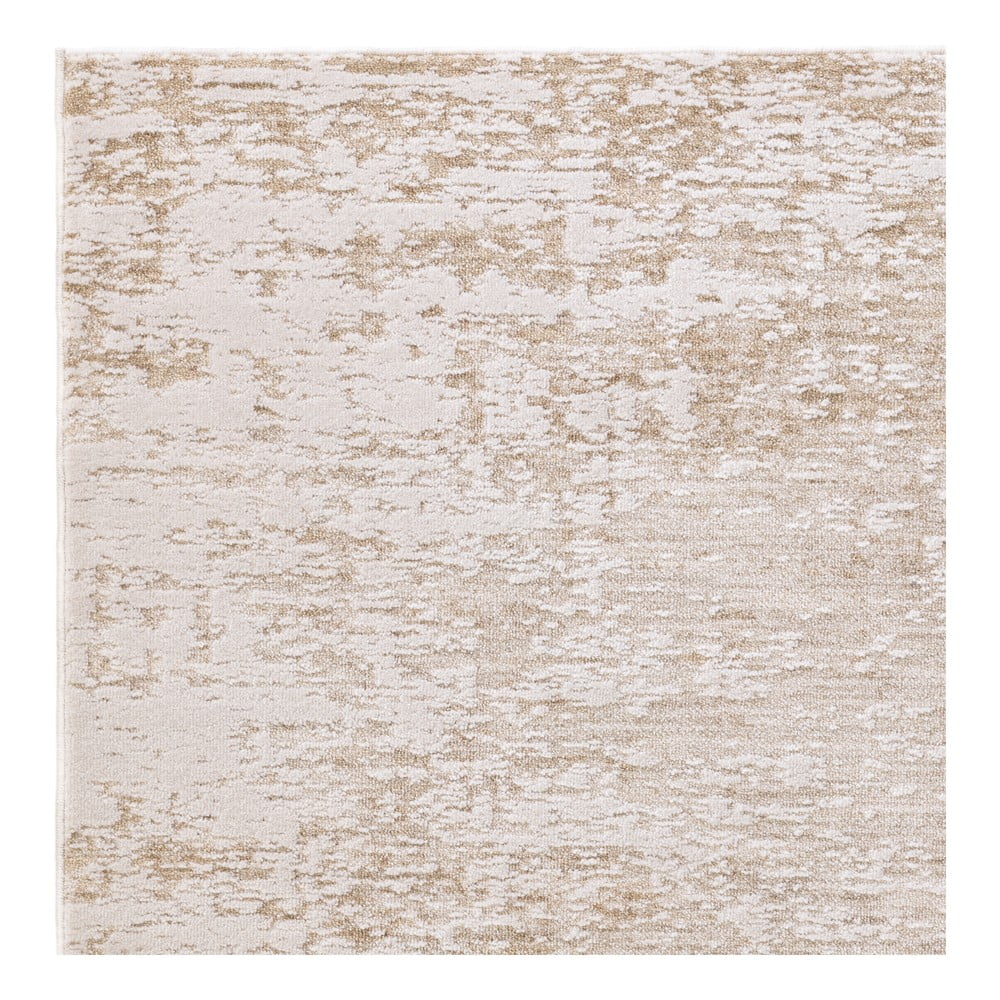 Beżowy/kremowy dywan 240x320 cm Anders Beige Natural – Asiatic Carpets (zdjęcie 8)