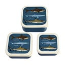 Ciemnoniebieskie pojemniki śniadaniowe dla dzieci 3 szt. Sharks – Rex London