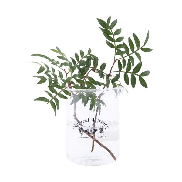 Szklany wazon (wysokość 12 cm) Natural History – Esschert Design-image-1