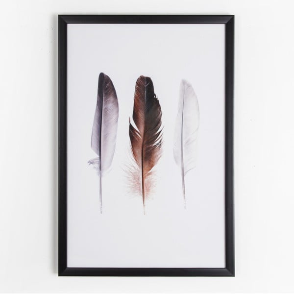 Obraz Graham & Brown Feather Trio, 40x60 cm
