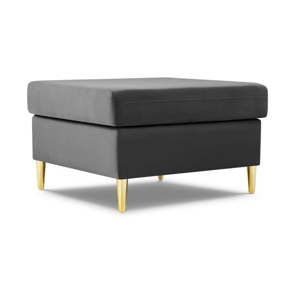 Jasnoszary aksamitny podnóżek Kyoto – Cosmopolitan Design-image-1