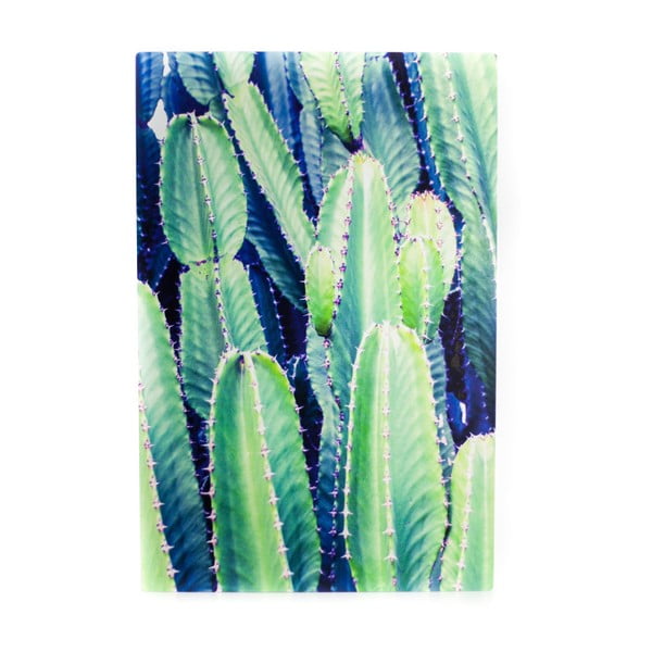 Obraz z metalu Velvet Atelier Cactus, 40x60 cm