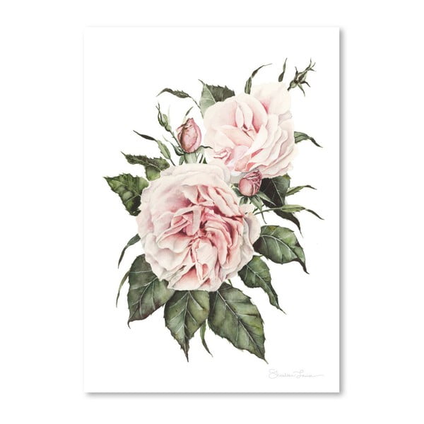 Plakat Americanflat Pink Garden Roses by Shealeen Louise, 30x42 cm