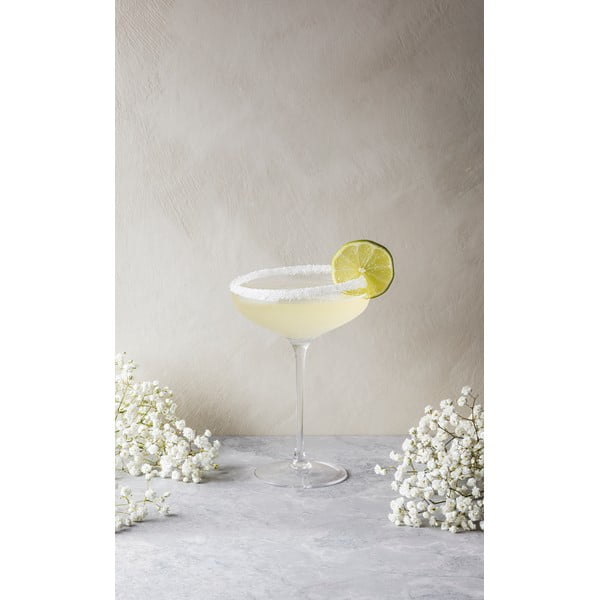 Kieliszek do szampana Eva Solo Coupe, 200 ml-image-3