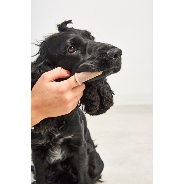 Szczoteczki do zębów dla zwierząt zestaw Dito – MiaCara-image-1