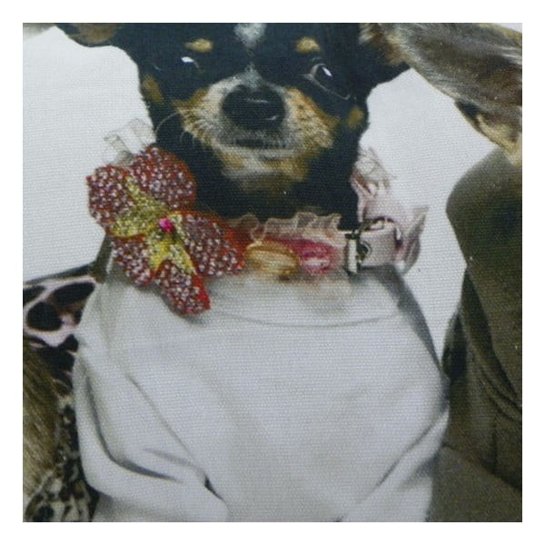 Poduszka Chihuahuas 35x50 cm-image-1