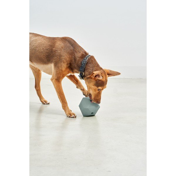 Zabawka dla psa Dado Eucalyptus – MiaCara-image-1