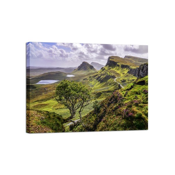 Obraz Styler Canvas Scotland Nature, 85x113 cm