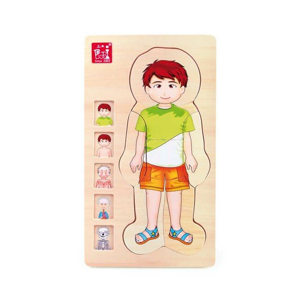 Puzzle drewniane Legler Anatomy Boy-image-1