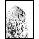 Plakat w ramie 50x70 cm Owl – Styler