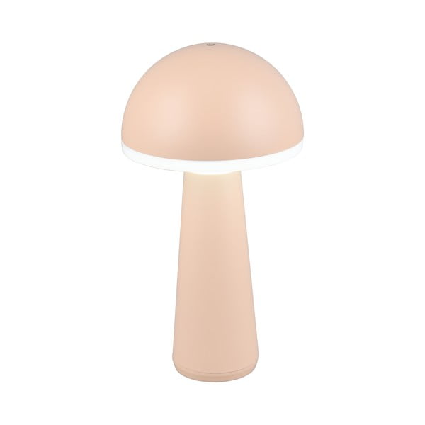 Lampa zewnętrzna ze ściemniaczem ø 16 cm Fungo – Trio-image-3