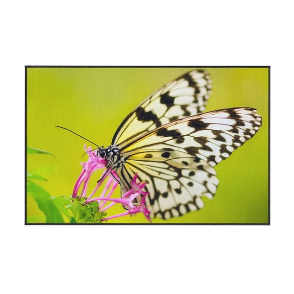 Zielony dywan Oyo home Butterfly, 140x220 cm