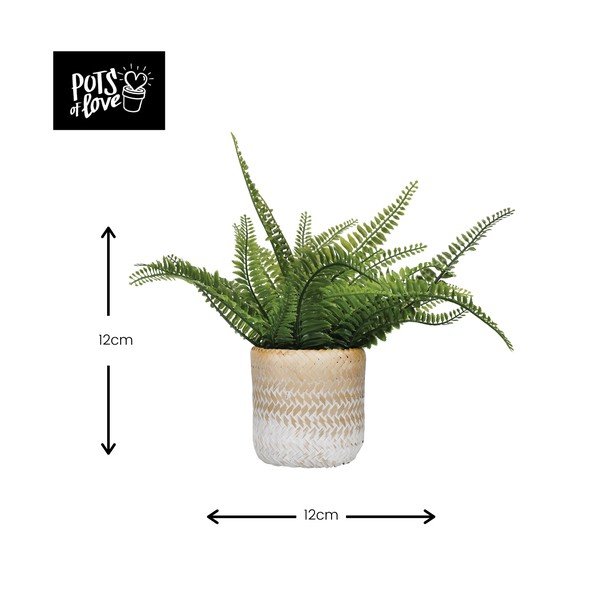 Doniczka z trawy morskiej Kitchen Craft Ombré-image-2