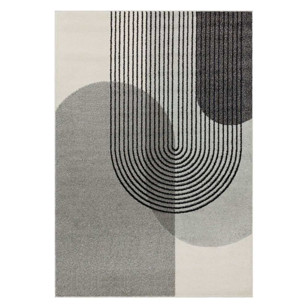 Dywan szary 170x120 cm Muse - Asiatic Carpets