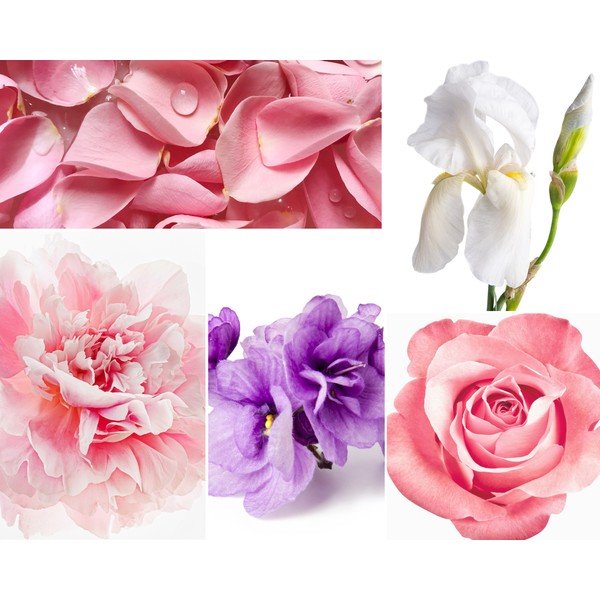 Dyfuzor zapachowy z patyczkami Privé Home Rose Pivoine, 200 ml-image-1