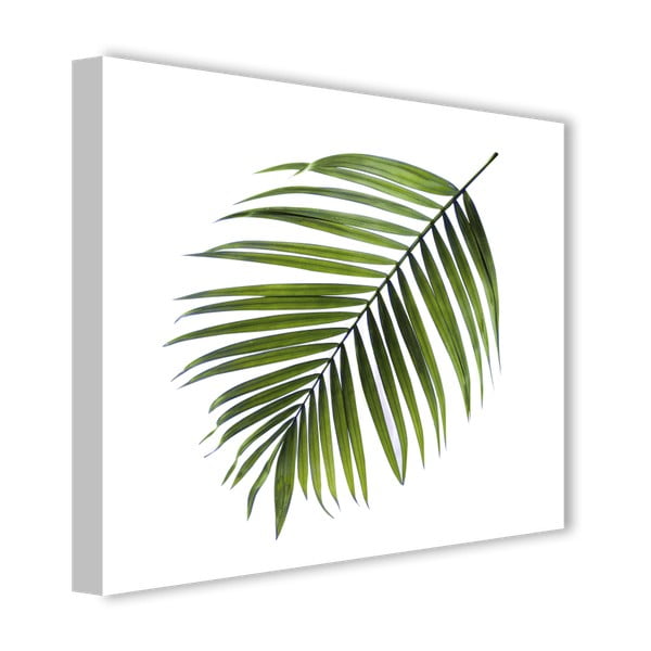 Obraz Styler Canvas Greenery Black Palm, 32x32 cm-image-2