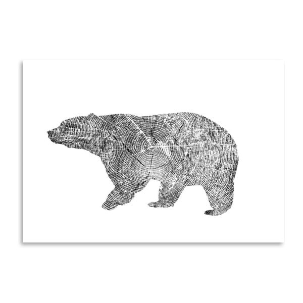 Plakat Americanflat Bear, 30x42 cm