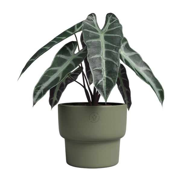 Ceramiczna ręcznie wykonana doniczka ø 17 cm Echo – Artevasi-image-2