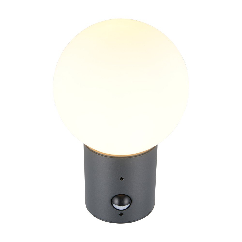 Lampa zewnętrzna ścienna z czujnikiem ruchu ø 18 cm Mures – Trio (zdjęcie 4)