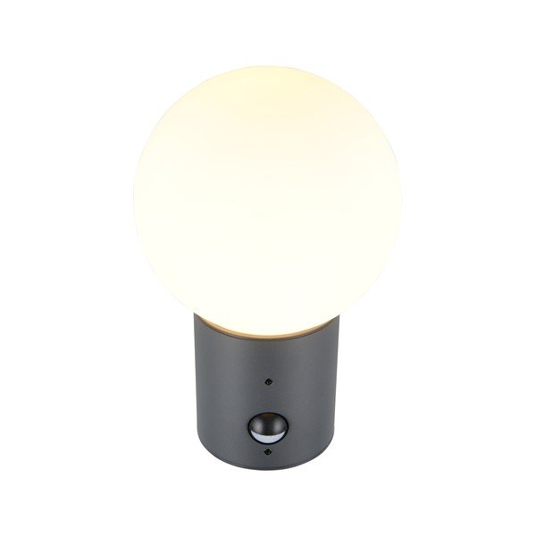 Lampa zewnętrzna ścienna z czujnikiem ruchu ø 18 cm Mures – Trio-image-4