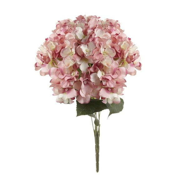 Różowy kwiat dekoracyjny Heaven Sends Hydrangea