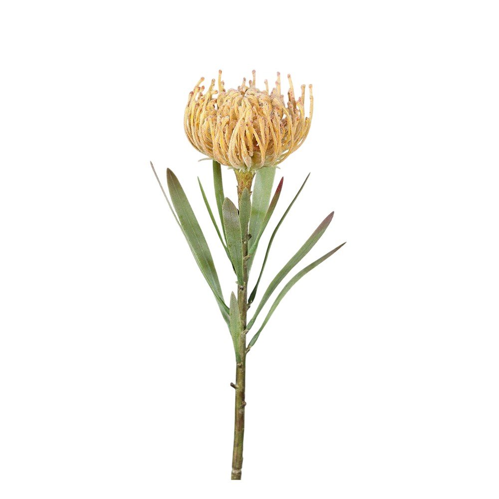 Sztuczny kwiat (wysokość 43 cm) Protea – Ego Dekor